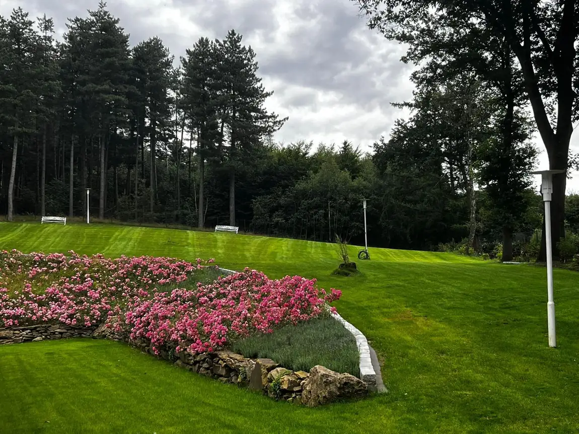 Fertige Gartenanlage mit Natursteinmauer, Rasen und bl&uuml;henden Rhododendren